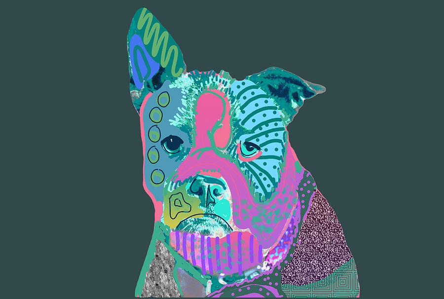 Abstract Digital Art - Curious Bulldog by Nancy Merkle