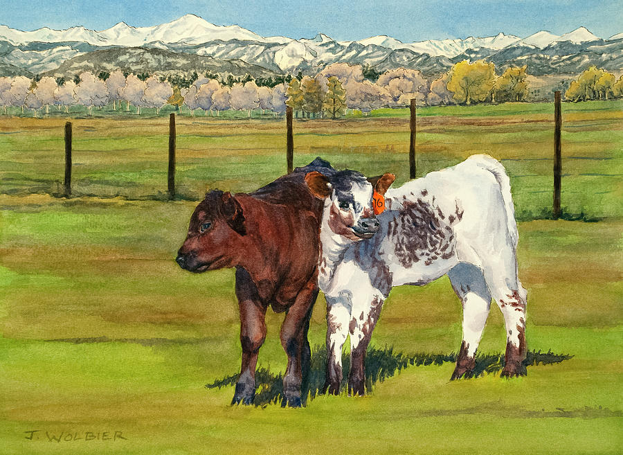 Curious Calves Mixed Media by Joan Wolbier