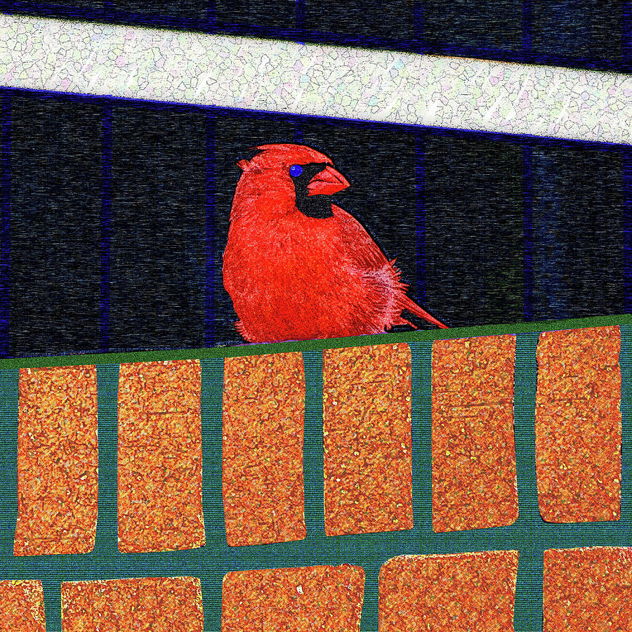 Curious Cardinal Digital Art by Rod Whyte