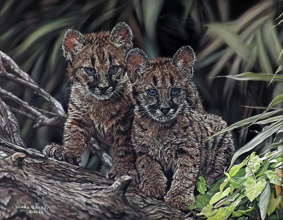 Curious Cubs Painting by Linda Becker