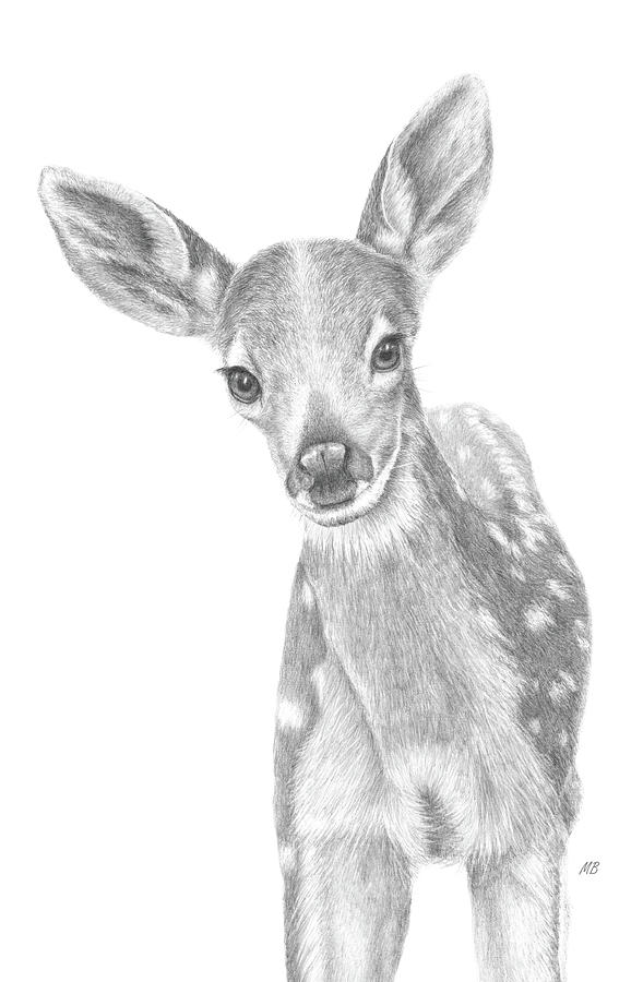Curious Fawn Painting by Monica Burnette