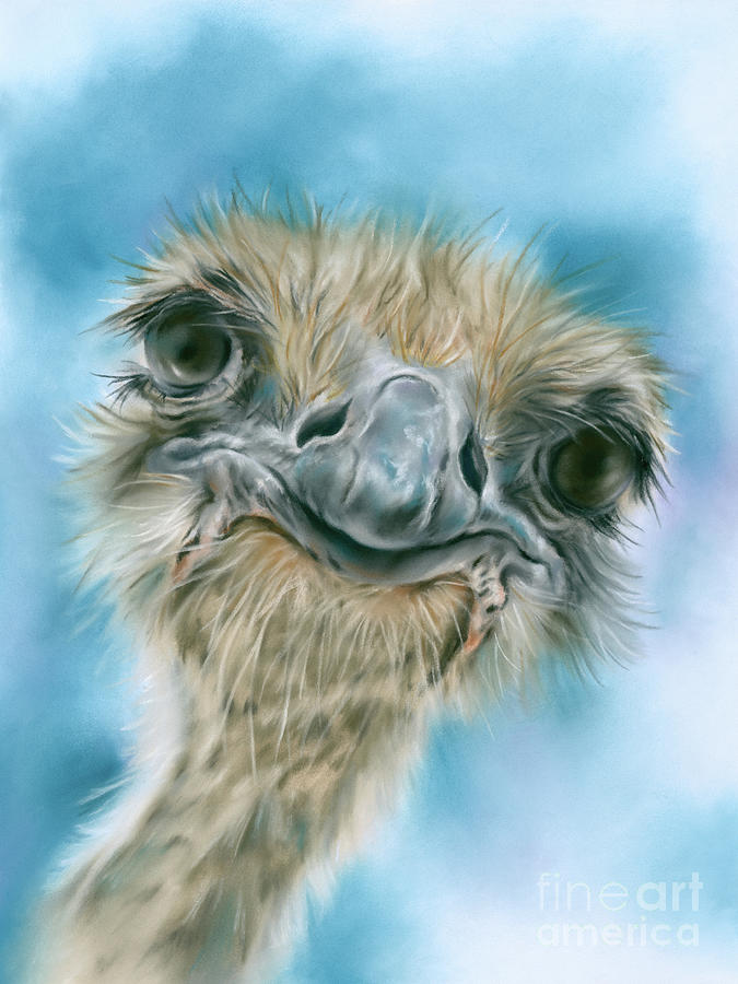 Curious Ostrich Painting by MM Anderson