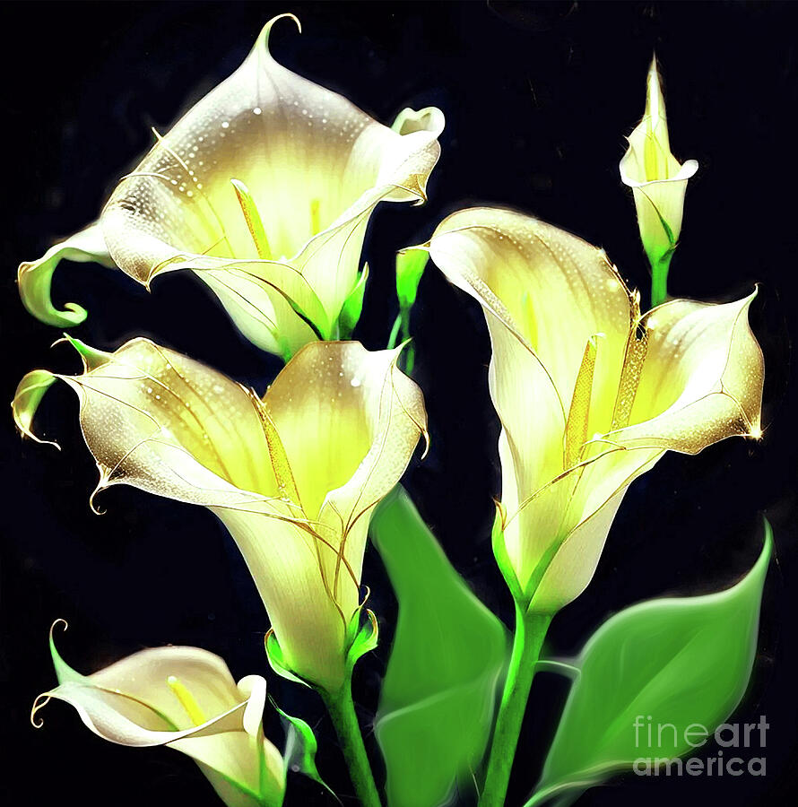 Flower Digital Art - Curly Calla Lilies  by Eddie Eastwood