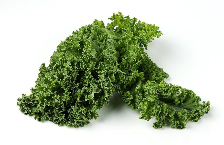 Curly kale, close up Photograph by Joff Lee