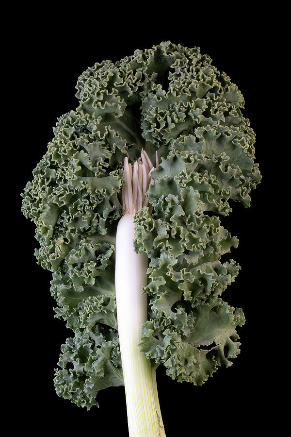 Curly Kale with Onion Photograph by Tom Mc Nemar