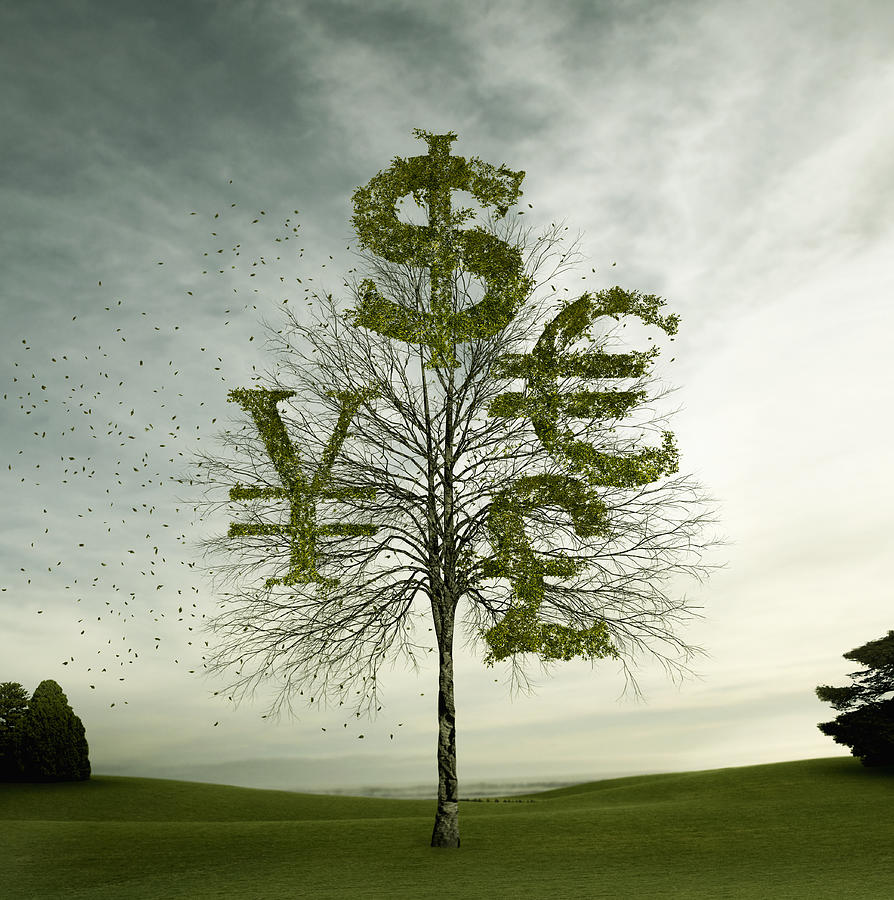 Currency symbols carved in tree in field Photograph by Colin Anderson Productions pty ltd