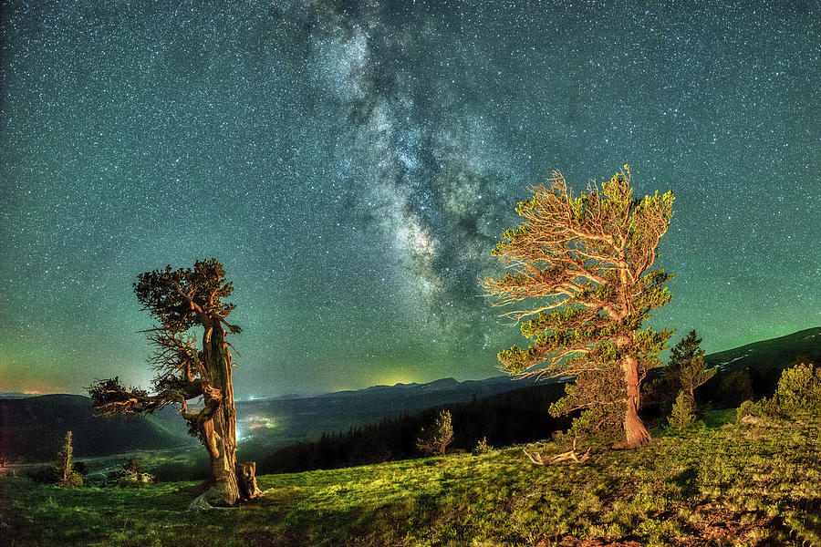 Current  Bristlecone Tree Against a Starry Sky. Photograph by OLena Art by Lena Owens - Vibrant DESIGN
