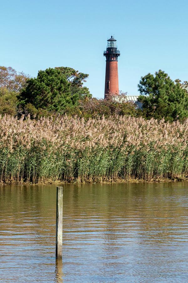 Currituck Beach Lighthouse from the Sound Side Photograph by Liza Eckardt