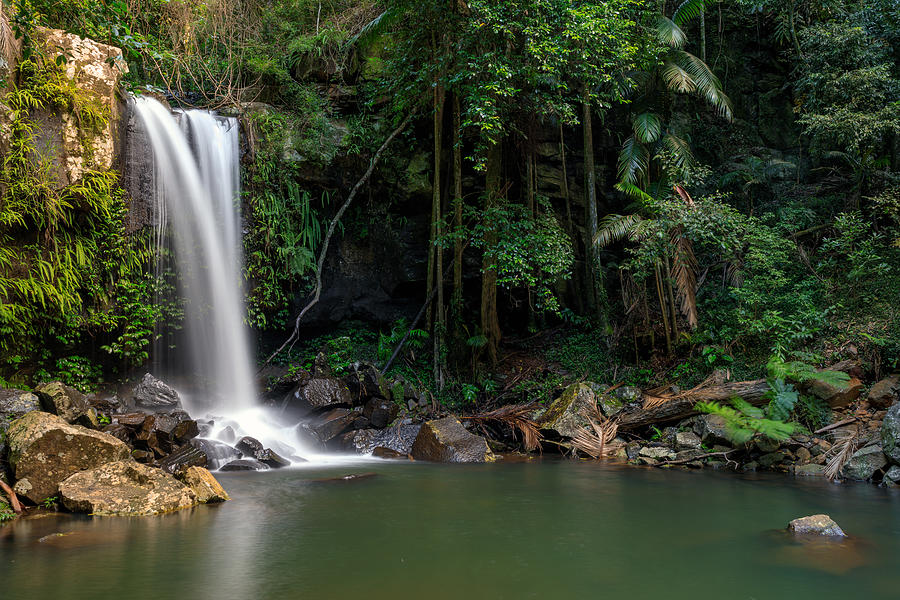 Curtis Falls - Tropical Rainforest Waterfall Australia Photograph by Thurtell
