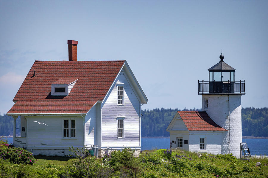 Curtis Island Lighthouse Photograph by Fran Gallogly