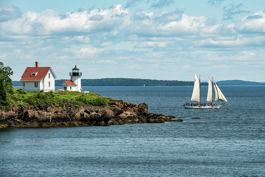 Curtis Island Lighthouse With Sailboat Photograph by Douglas Wielfaert