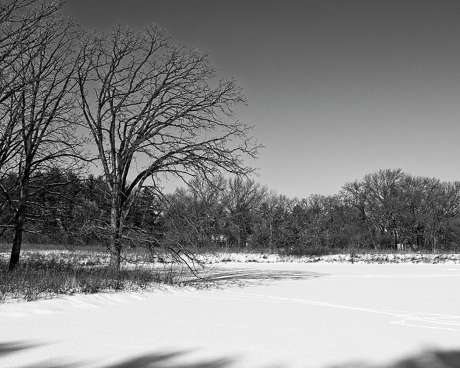Curtis Prairie, UW Arboretum, Madison, WI Photograph by Steven Ralser