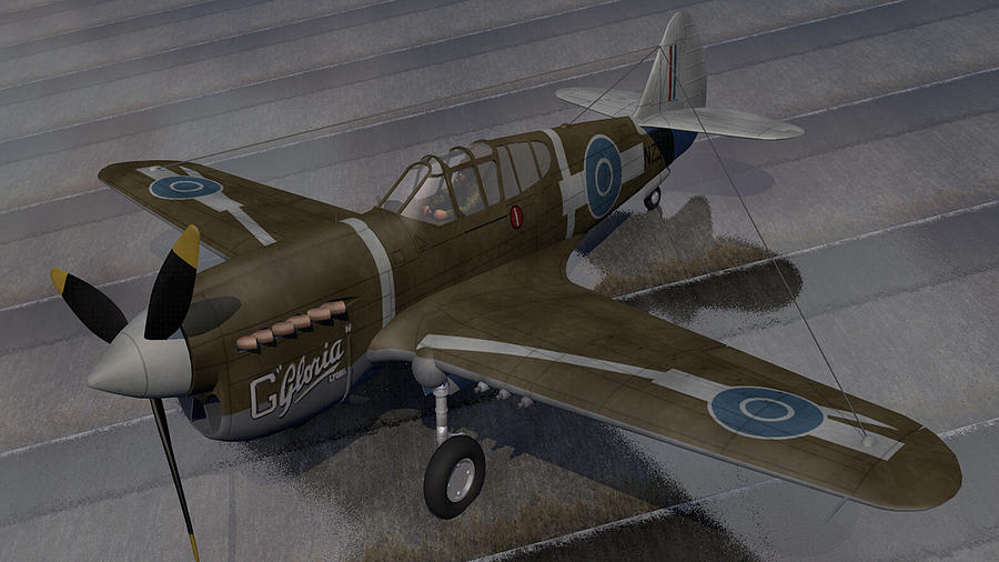 Curtiss Kittyhawk RNZAF Digital Art by Mark Rowles