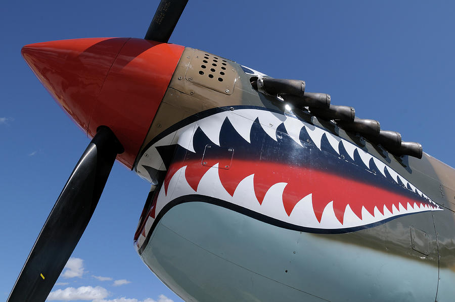 Curtiss P-40 Warhawk Miss Josephine, Palm Springs Air Museum, Palm Springs, California Photograph by Kevin Oke