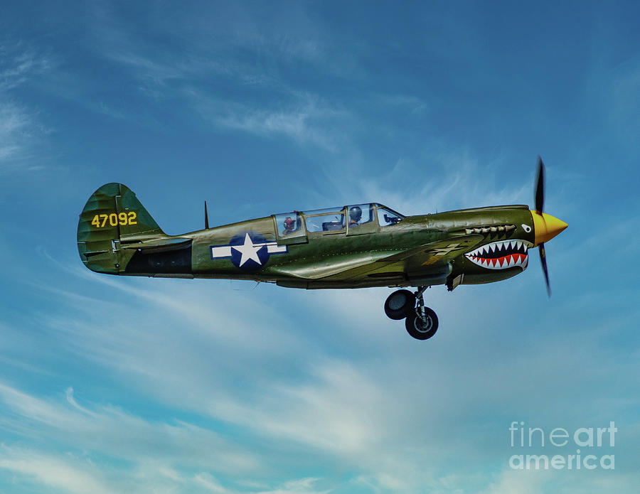 Curtiss P-40 Warhawk Photograph by Nick Zelinsky Jr