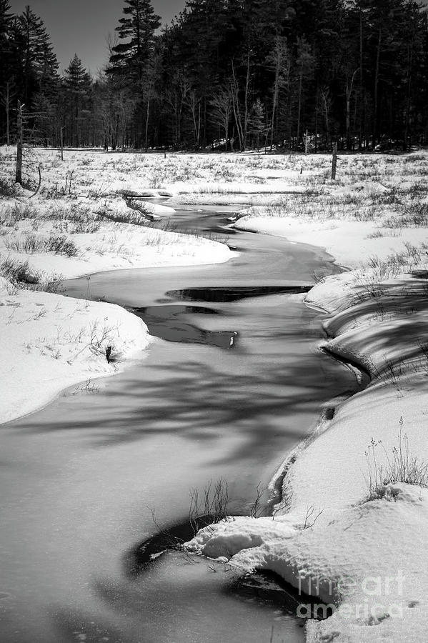 Curve and Shadows Photograph by Alana Ranney - Fine Art America