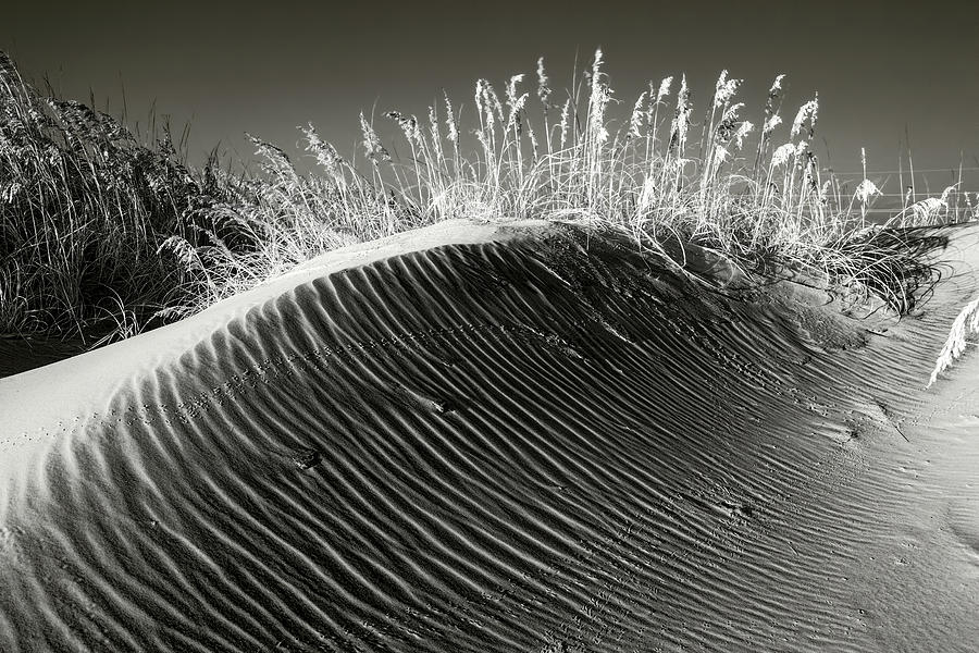 Curved Dunes bw Photograph by Dan Carmichael