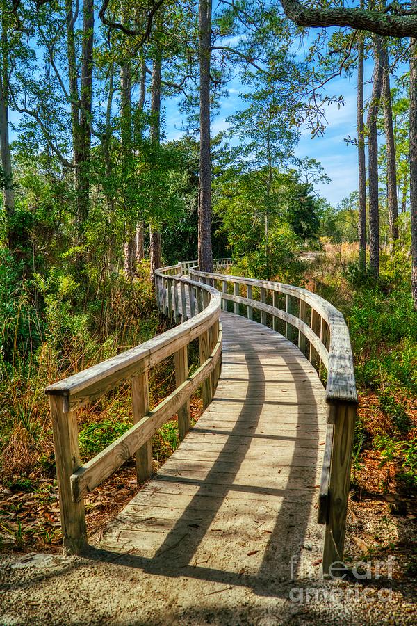 Curved Wooden Bridge # 2 Photograph by Mel Steinhauer - Fine Art America