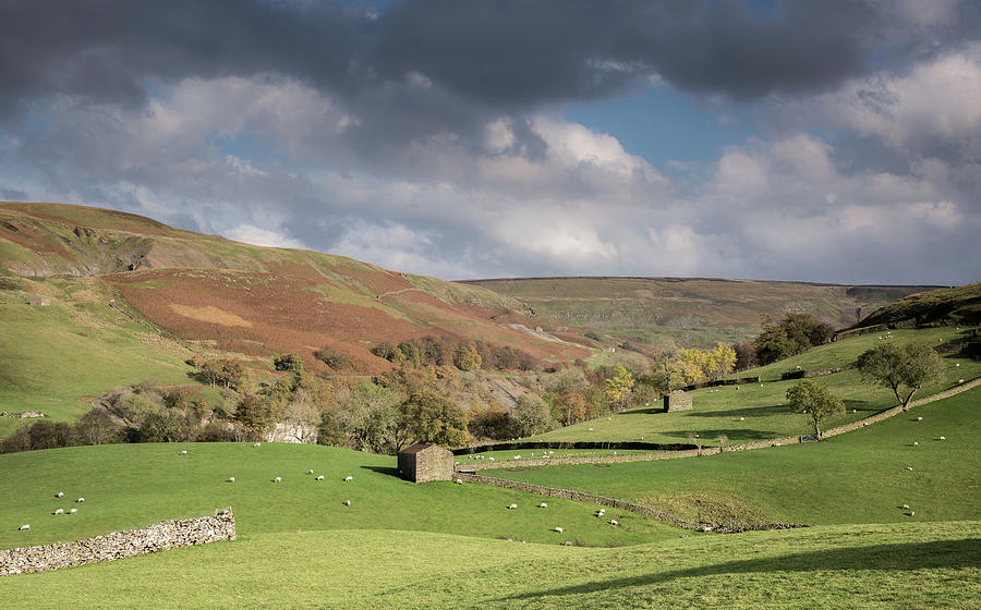 Curves of Swaledale, Yorkshire Dales, England, UK Photograph by Sarah Howard