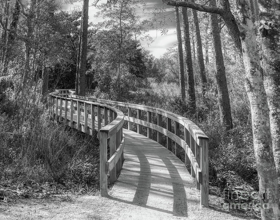 Curving Bridge Black and White Photograph by Mel Steinhauer