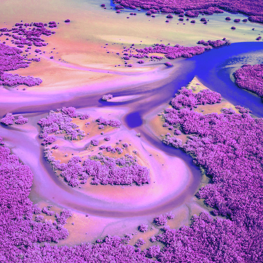 Curvy River Flowing Through Sandy Terrain With Lush Forest - Infrared - Purple Digital Art