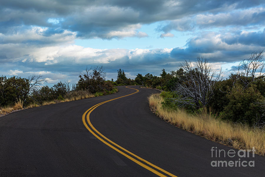 Curvy Road in Chiricahua National Monument Photograph by Billy Bateman