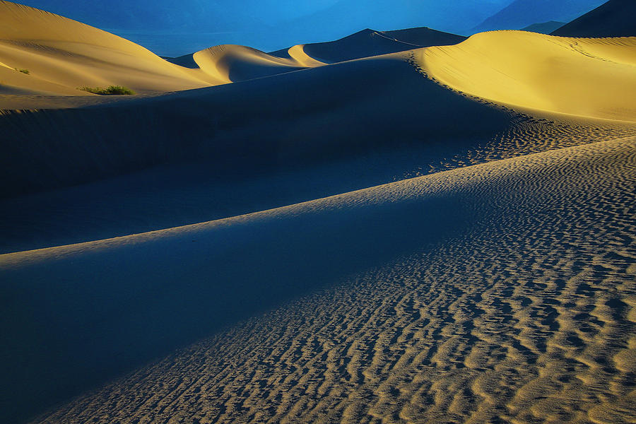 Curvy Sand Dunes Photograph by Garry Gay - Fine Art America