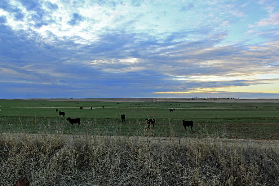 Custer Sunset Photograph by Jennifer Robin