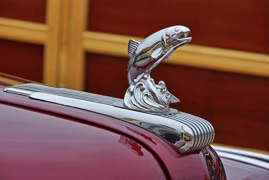 Custom Fish Hood Ornament Photograph by Dave Lindsay | Pixels