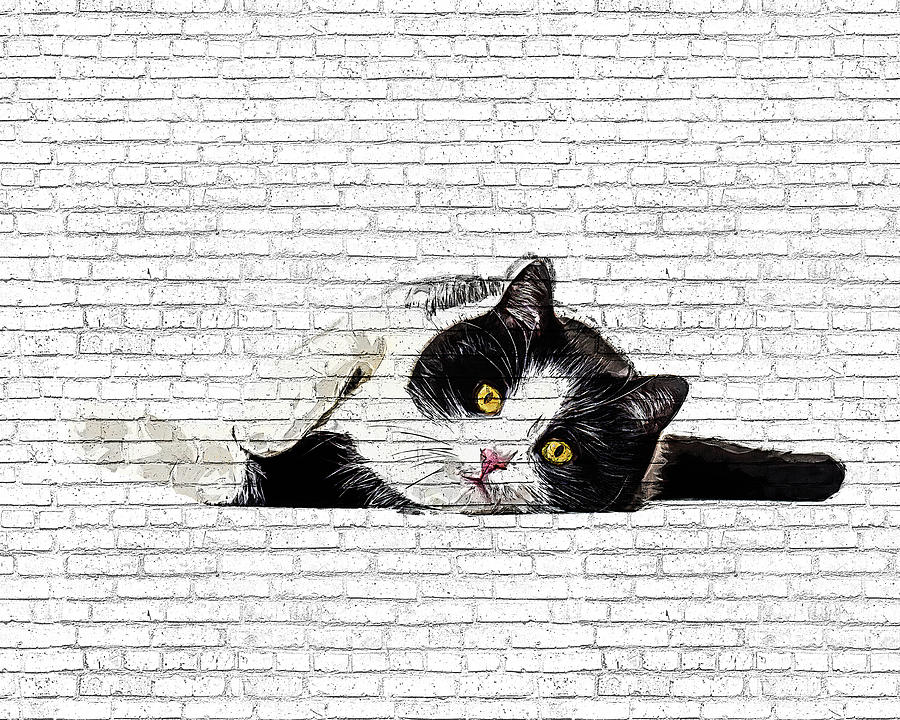 Cute and Charming, Black and White Cat - Brick Block Background Painting by Custom Pet Portrait Art Studio