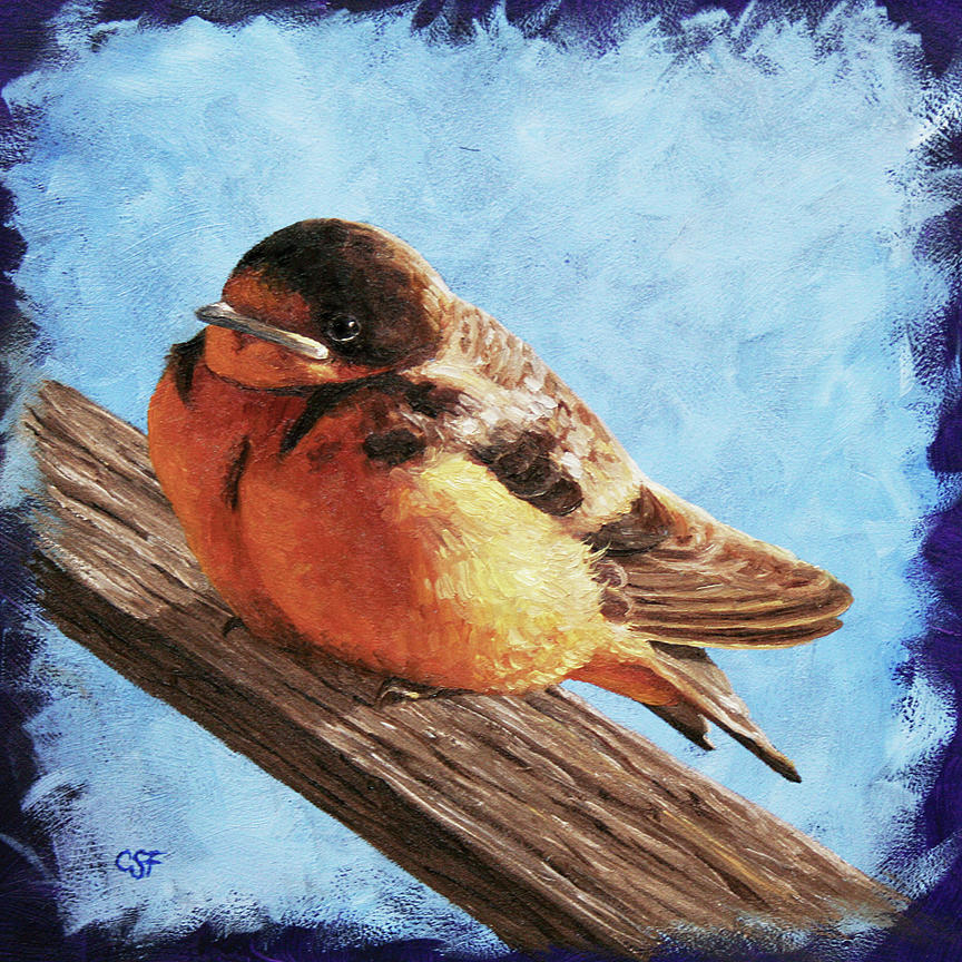 Cute Baby Barn Swallow Painting by Crista Forest