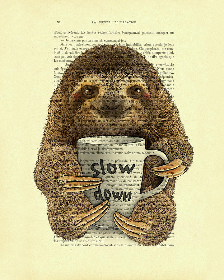 Sloth Digital Art - Cute baby sloth with coffee mug Slow down quote by Madame Memento