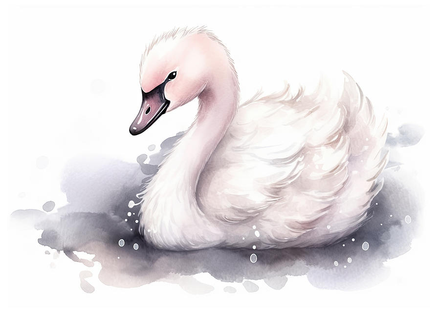 Swan Photograph - Cute baby swan animal watercolor childrens print by Good Focused