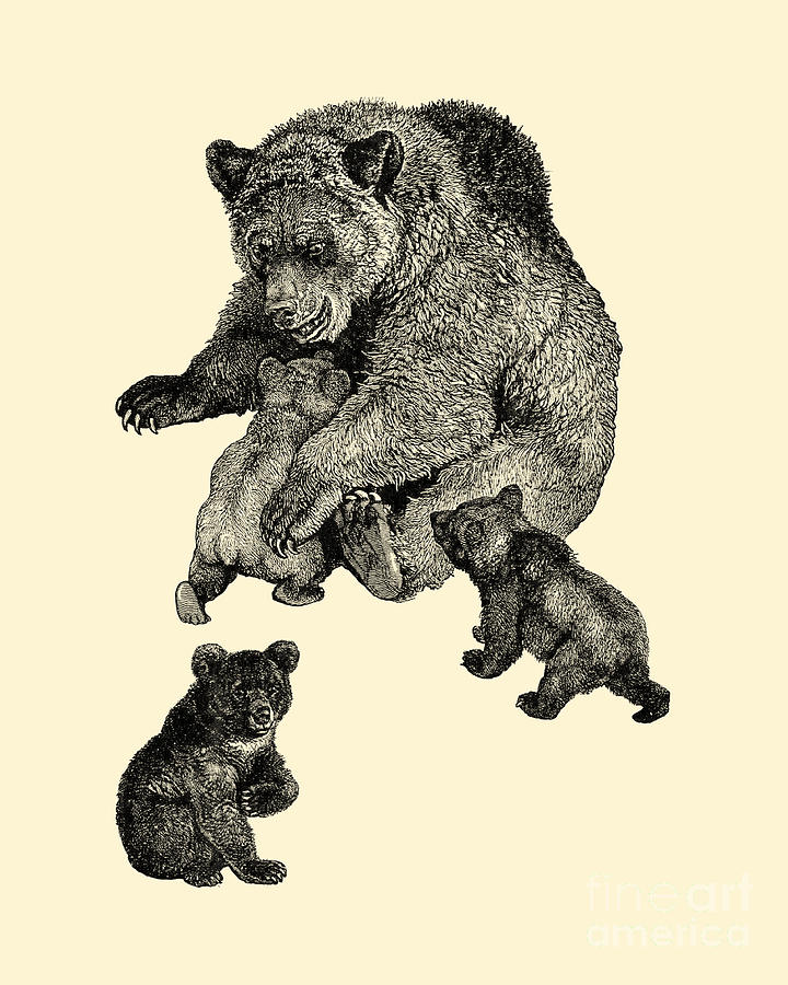 Wildlife Digital Art - Cute Bear Family by Madame Memento