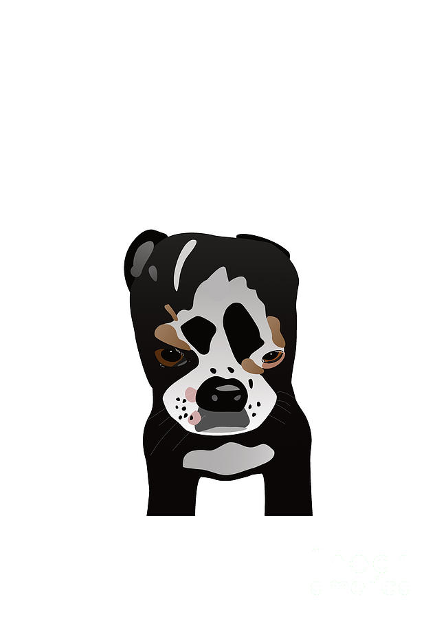 Cute Boston Terrier Pup Graphic Style Digital Art by Barefoot Bodeez Art