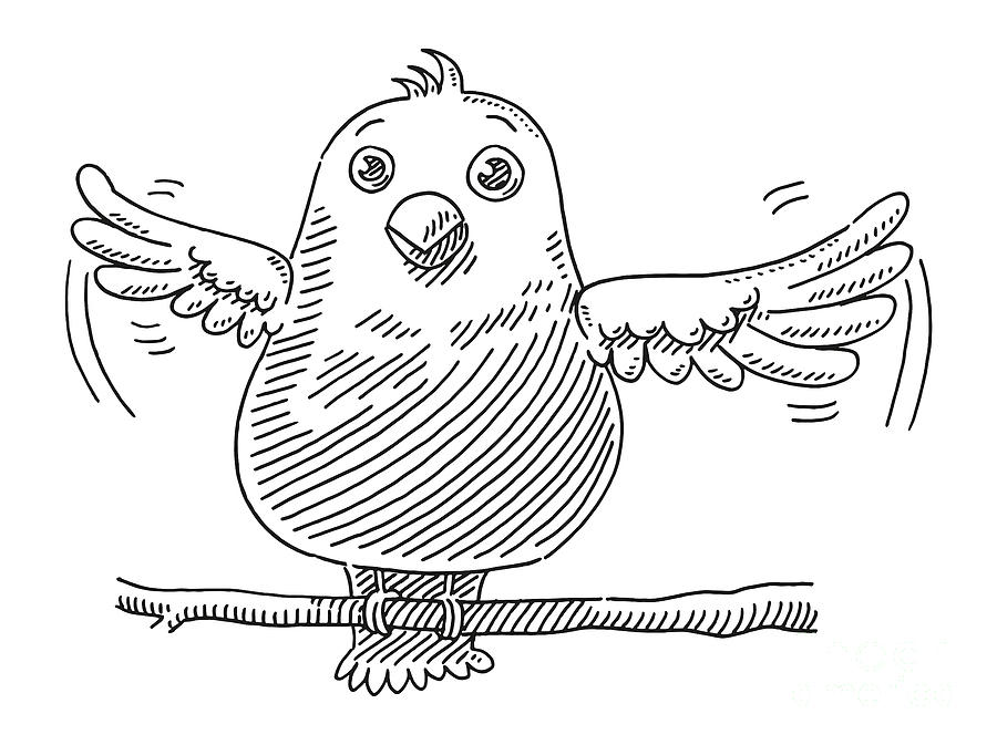 Cute Cartoon Baby Bird Drawing Drawing by Frank Ramspott - Pixels