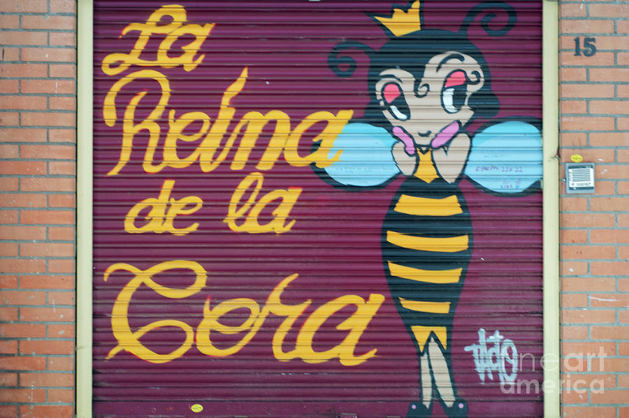 Cute Cartoon Bee Painted On The Door Photograph By Beautiful Things