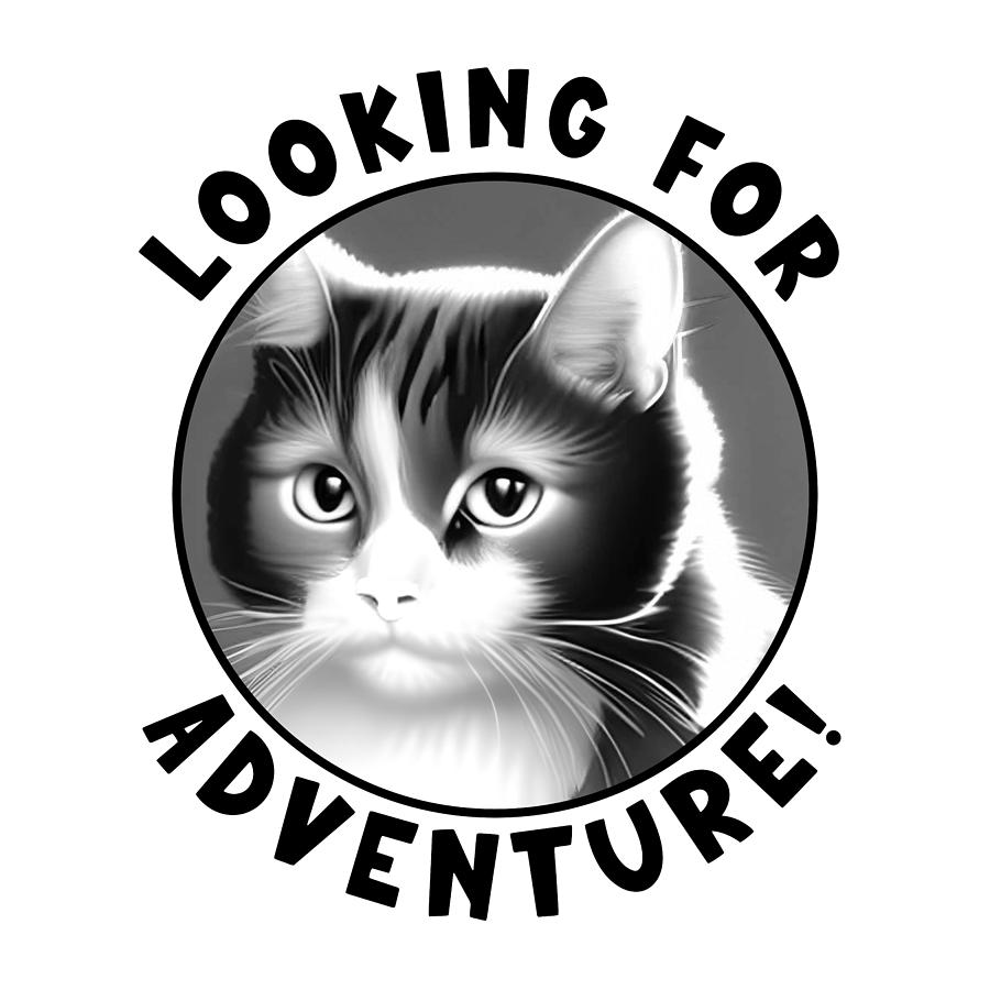 Cute Cat - Looking For Adventure Digital Art by Bob Pardue