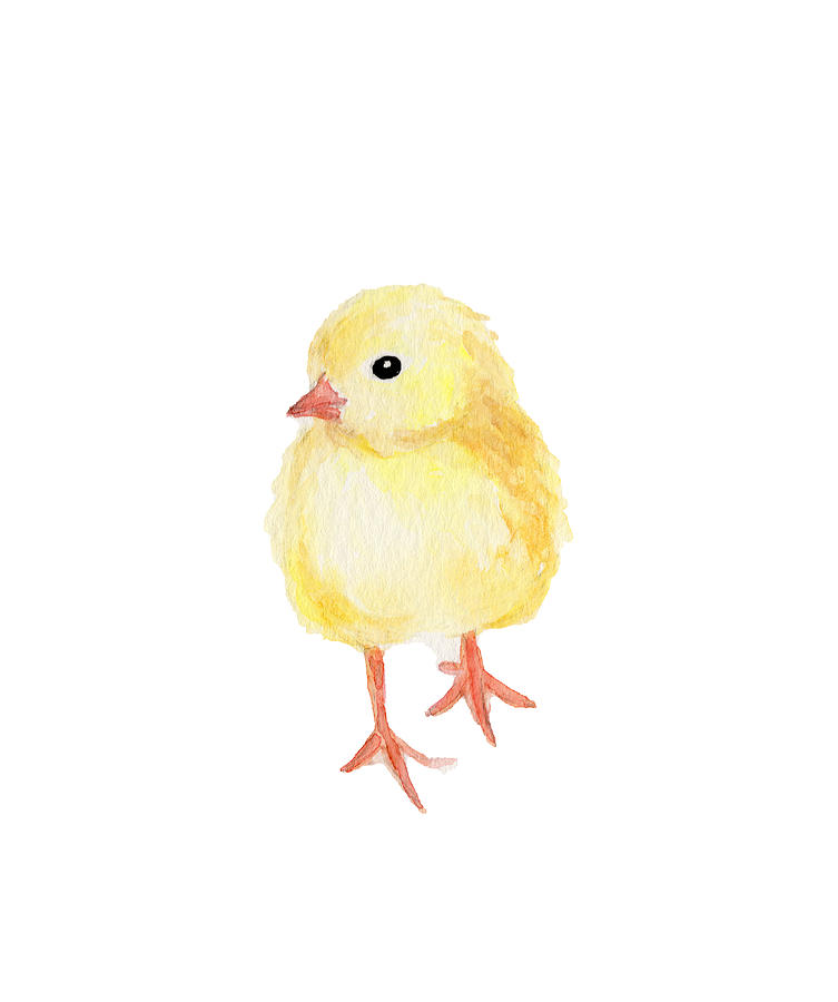 Cute Chick Painting By Yz Watercolor Fine Art America