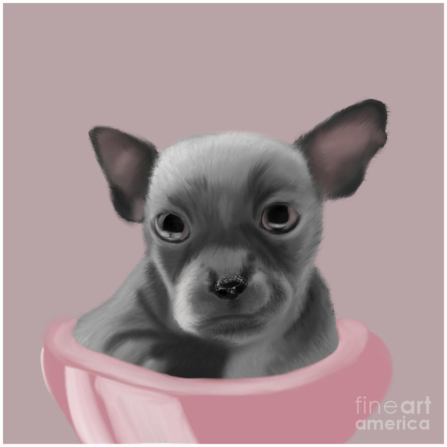 Cute Chihuahua in a Pink Bowl Painting by Barefoot Bodeez Art