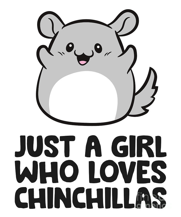 Cute Chinchilla Just a Girl Who Loves Chinchillas Tapestry - Textile by ...