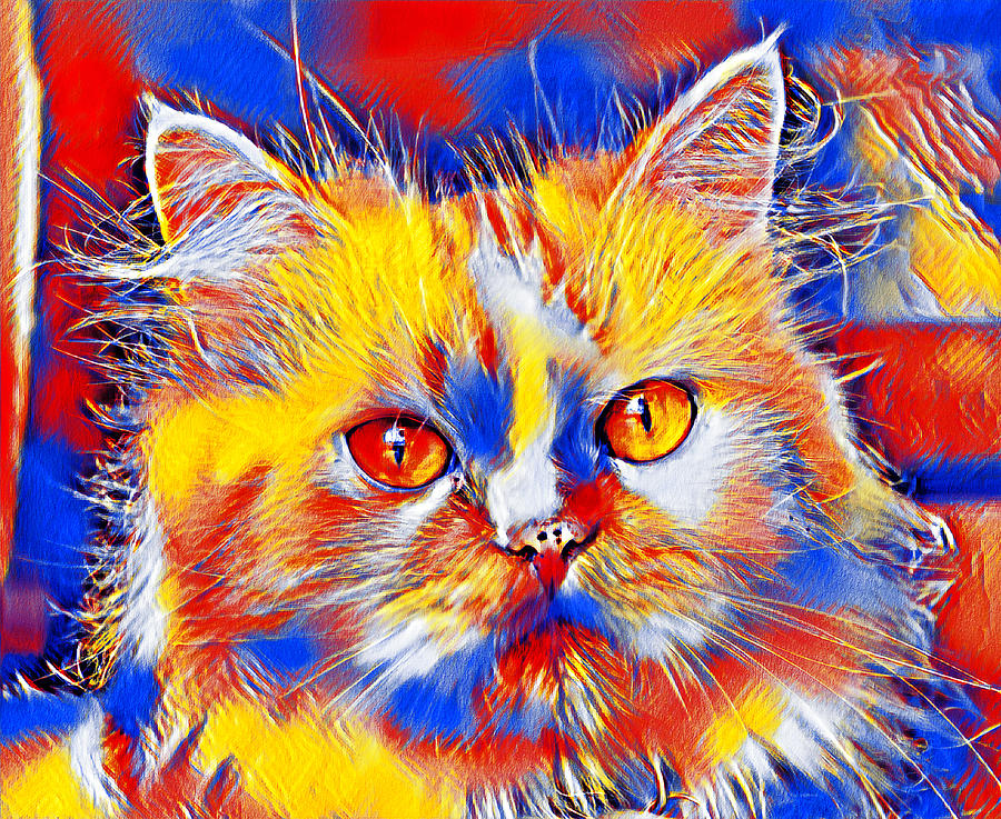 Cute colorful Persian cat in blue, red and yellow Digital Art by Nicko Prints