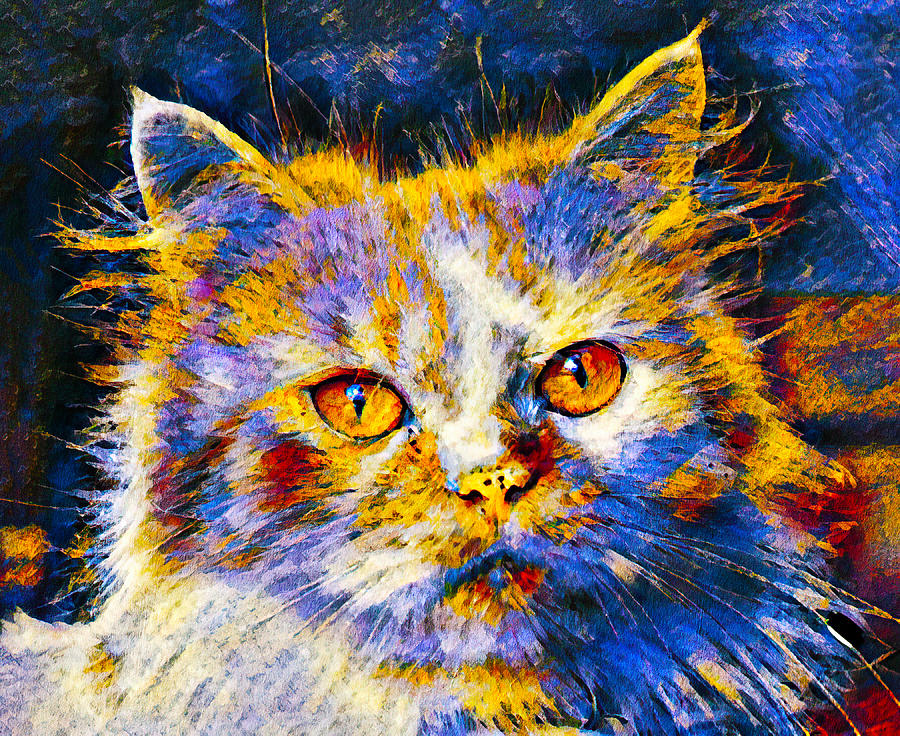Cute colorful Persian cat in blue, white and orange Digital Art by Nicko Prints