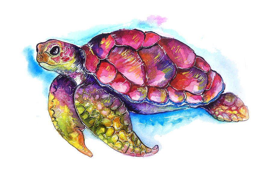 Cute Colorful Turtle Watercolor Painting by Matthias Hauser