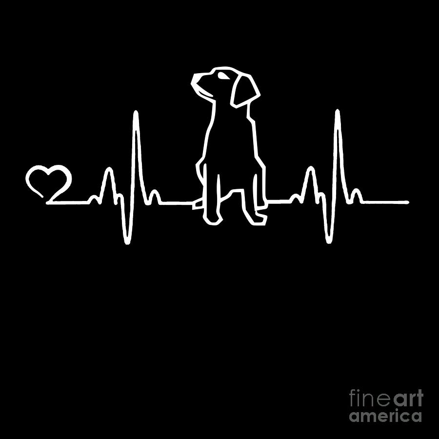 what breed of dog is in heartbeat