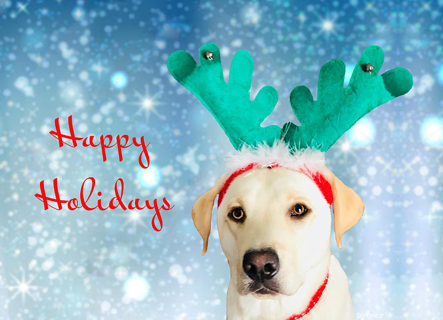 Cute Dog With Antlers and Snowflakes Happy Holiday Greeting Digital Art by Inge Lewis