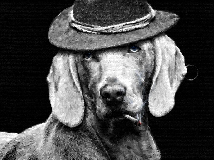 Cute Dog With Hat And Ear Ring Black And White Painting by Tony Rubino