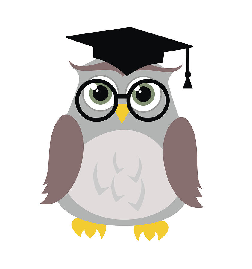 Cute education owl vector illustration Drawing by MrsWilkins