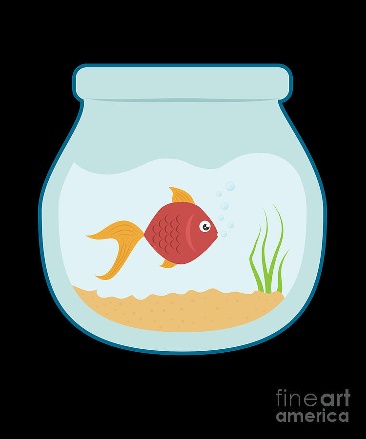 aquarium fish bowl