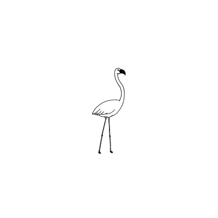 Flamingo Sketch Illustration Wall Decal - WallMonkeys.com – Wallmonkeys